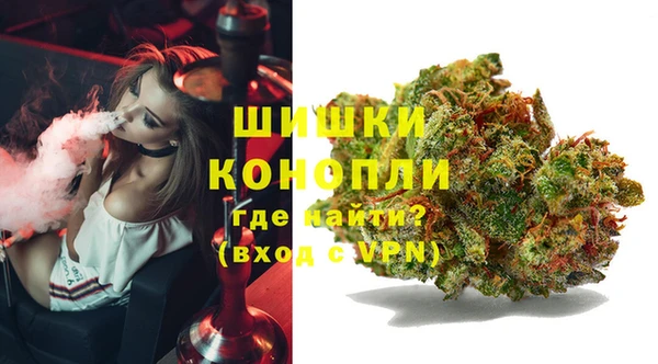 СК Аркадак