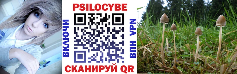 Галлюциногенные грибы Psilocybine cubensis  как найти наркотики  Коломна 
